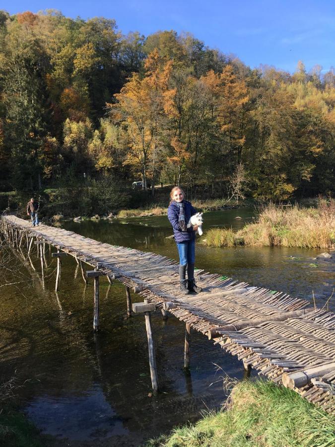 Holiday home Gite La Passerelle A Mouzaive *
